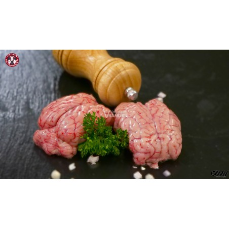 CERVELLE D'AGNEAU