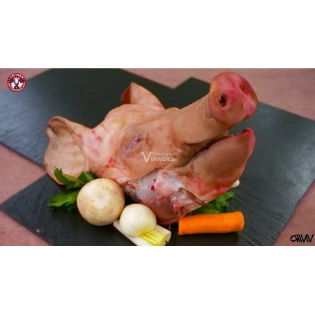 TETE DE PORC